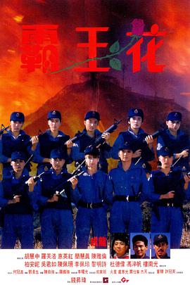 霸王花[杜比视界版本][简繁英字幕].1988.2160p.iTunes.WEB-DL.AAC.2.0.DV.HEVC-PandaQT.torrent