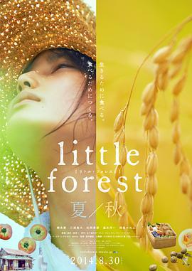 [小森林夏秋篇]2014.BluRay.720p.x264.AC3-CMCT[日语中字3.05G].torrent