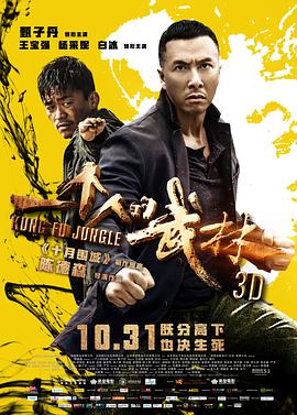 一个人的武林.国粤双语.2014.BD1080P.AAC.H264.CHS.BTSJ6.torrent