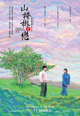 山楂树之恋.2010.BD1080P.AAC.H264.CHS.BTSJ6.torrent