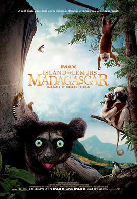 [马达加斯加狐猴之岛]2014.BluRay.720p.x264.AC3-CMCT[中英字幕1.20G].torrent