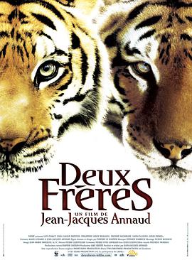 [虎兄虎弟(国英双语)].2004.BluRay.720p.x264.AC3-CNXP[中英字幕2.31G].torrent