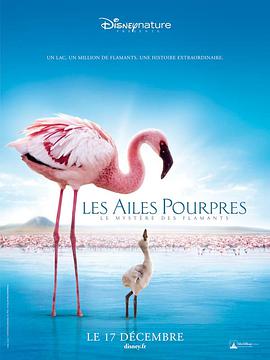 [红色翅膀：火烈鸟故事].2008.Bluray.720p.x264.AC3[中英字幕1.80G].torrent