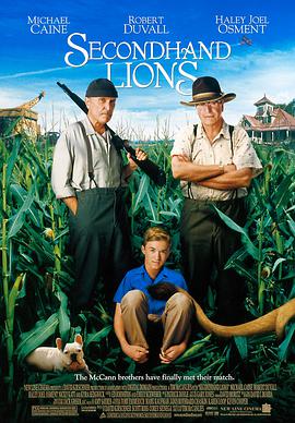 二手狮王.2003.BD1080P.AAC.H264.CHS.BTSJ6.torrent