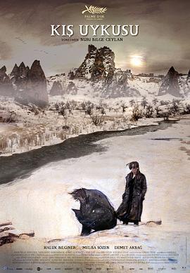 冬眠.2014.BD1080P.AAC.H264.CHS.BTSJ6.torrent