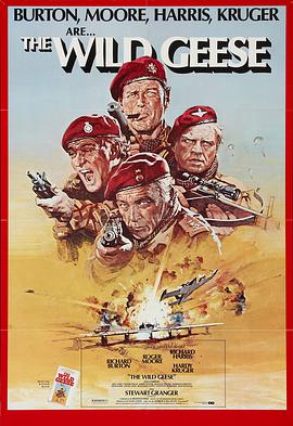 [1978][英国瑞士][战争动作][野鹅敢死队][BD-RMVB1.191G][中文字幕][480720P双版].torrent