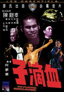 血滴子.1975.BD1080P.AAC.H264.CHS.BTSJ6.torrent
