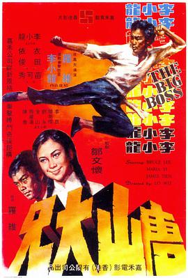[1971][香港][动作][唐山大兄][BD-RMVB1.29G][国粤双语][中文字幕][480720P双版].torrent
