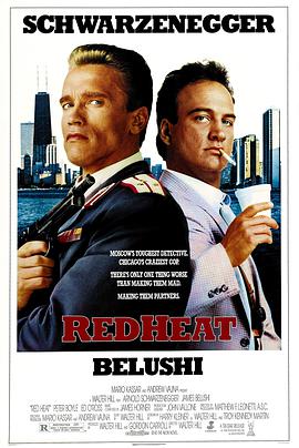 红色警探[简繁英字幕].1988.1080p.BluRay.Remux.AVC.DTS-HD.MA.5.1-QuickIO.torrent