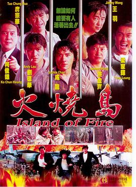 [1990][香港][动作犯罪][火烧岛][DVD-RMVB661M][国粤双语][中文字幕][480P].torrent