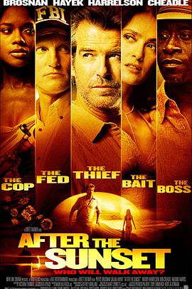 日落之后.2004.BD1080P.AAC.H264.CHS.BTSJ6.torrent