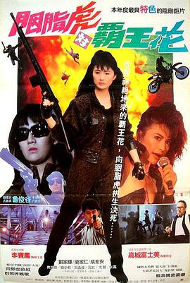 [2011][韩国][剧情][胭脂虎对霸王花/天使杀手][BD-RMVB1.55G][中文字幕][480720P双版].torrent