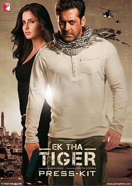 代号猛虎行动.Ek.Tha.Tiger.2012.BD1080P.X264.AAC.Hindi.CHS.BDYS.torrent