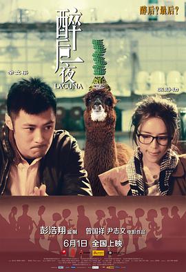 [2012][中国][爱情][醉后一夜][HD-RMVB1.79G][国语中字][480720P双版].torrent
