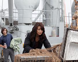 [2013][美国][冒险动作][超级飓风][BD-RMVB1.1G][中文字幕][480720P双版].torrent