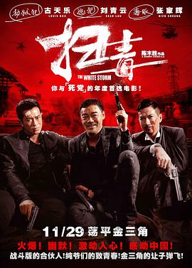 扫毒.国粤双语.2013.BD1080P.AAC.H264.CHS.BTSJ6.torrent