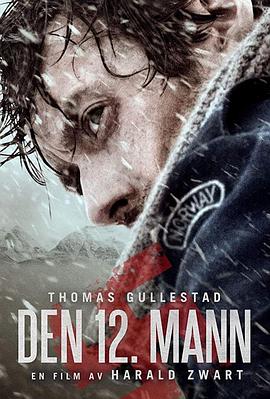 第十二个人.2017.BD1080P.AAC.H264.CHS.BTSJ6.torrent