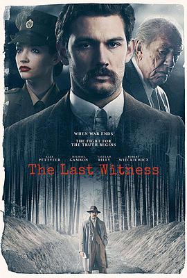 最后证人.The.Last.Witness.2018.HD1080P.AAC.x264.English.CHS-ENG.torrent