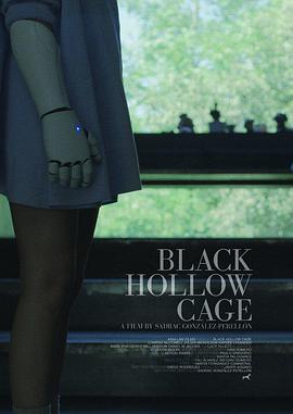 黑盒子.Black.Hollow.Cage.2017.HD720P.AAC.x264.English.CHS-ENG.torrent