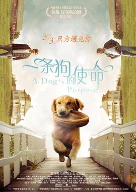 [一条狗的使命]A.Dog's.Purpose.2017.BluRay.720p.X264.AC3-CNXP[中英字幕2.3G].torrent