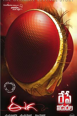 功夫小蝇.2012.BD1080P.AAC.H264.CHS.BTSJ6.torrent
