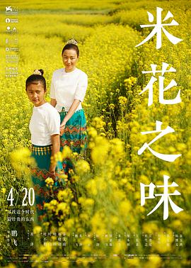 [2017][米花之味][WEB-MP4&6.07GB][国语中英字幕][2K&4K][无水印][DYGC].torrent