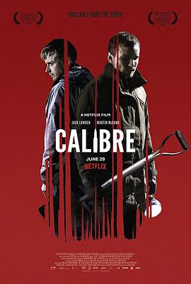 口径.Calibre.2018.HD1080P.AAC.x264.English.CHS-ENG.torrent