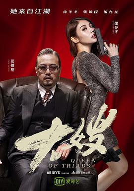 大嫂.Queen.of.Triads.2017.1080P.WEB-DL.X264.AAC.Mandarin.CHS-DYGC.torrent