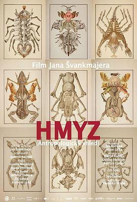 昆虫物语.Hmyz.2018.HD1080P.x264.精准中文字幕.chs.btrenren.torrent