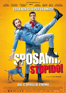 嫁我吧，哥们.Epouse.Moi.Mon.Pote.2017.FRENCH.1080p.BluRay.Light.x264.AC3.CHS-BTxiaba.torrent