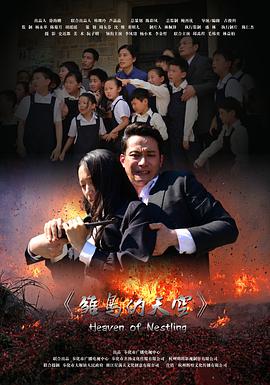 [2016][雏鸟的天空][WEB-MKV&2.04G][国语中字][1080P][无水印].torrent