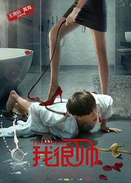 [2016][我很帅][WEB-MP4&2.08G][国语中字][1080P][无水印].torrent