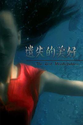 [2016][遗失的美好][WEB-MKV&2.25G][国语中字][1080P][无水印].torrent