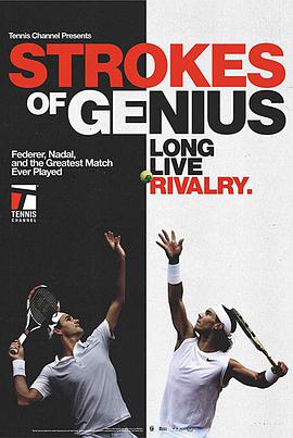 天才之击.Strokes.of.Genius.2018.HD1080P.AAC.x264.English.CHS-ENG.BTDX8.torrent