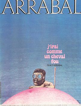 我像疯马般行走.I.Will.Go.Like.A.Wild.Horse.1973.DVDRip.French.CHS.BTDX8.torrent
