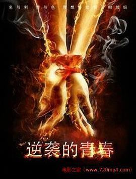 [2015][逆袭的青春][WEB-MKV&2.31G][国语中字][1080P][无水印].torrent