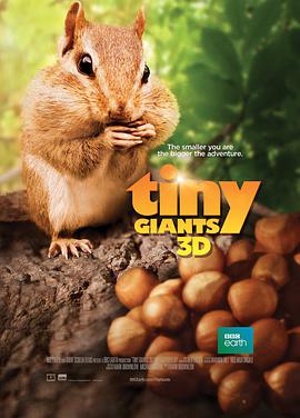 小巨人 3D[中文字幕].2014.2160p.WEB-DL.H265.AAC-PandaQT.torrent