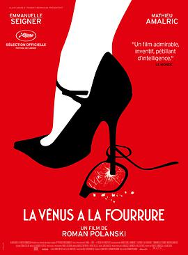 穿裘皮的维纳斯.2013.BD1080P.AAC.H264.CHS.BTSJ6.torrent