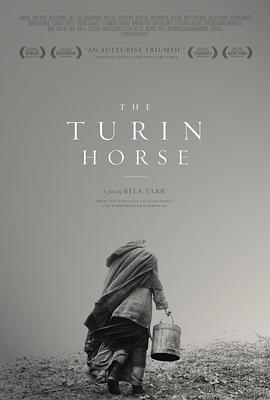 都灵之马.2011.BD1080P.AAC.H264.CHS.BTSJ6.torrent