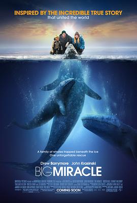 [巨大奇迹/鲸奇之旅].Big.Miracle.2012.BluRay.720p.x264.AC3-CnSCG[中英字幕2.8G].torrent