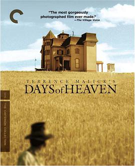 天堂之日.1978.BD1080P.AAC.H264.CHS.BTSJ6.torrent