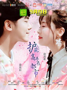 护花高手在都市(15集全).2018.1080p.WEB-DL.X264.AAC-BTxiaba.torrent