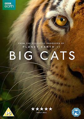 [2018][大猫&Big Cats][全03集打包][国语中字][WEB-MP4][1080P][无水印].torrent