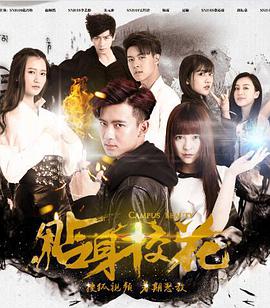[贴身校花][全20集打包][国语中字][WEB-MP4][1080P][无水印].torrent