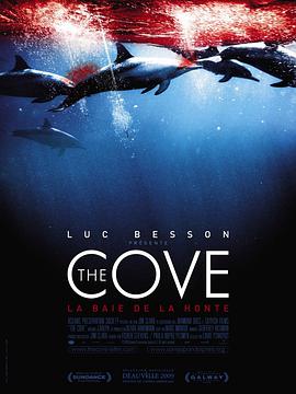 海豚湾.2009.BD1080P.x264.CHS-ENG.BTSJ5.torrent