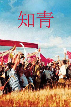 [知青][全45集打包][国语中字][WEB-MP4][高码1080P][无水印].torrent