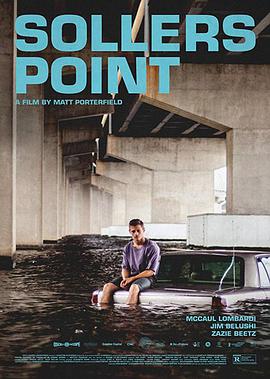 索勒斯角.Sollers.Point.2017.中英字幕.BDrip.AAC.1080p.x264-VINEnc.torrent