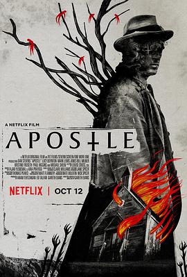 使徒.Apostle.2018.HD1080P.AAC.x264.English.CHS.BTDX8.torrent