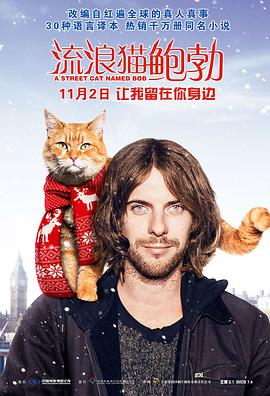 流浪猫鲍勃[中文字幕].2016.1080p.Bluray.Remux.AVC.DTS-HD.MA.5.1-SONYHD.torrent
