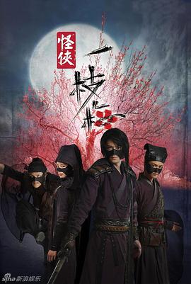 [2010][怪侠一枝梅][全30集打包][国语中字][MP4][1080P][HQC].torrent